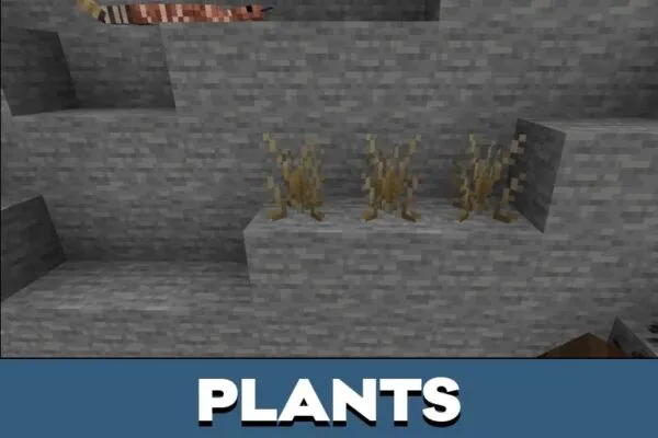 Plants from Wild West Mod for Minecraft PE