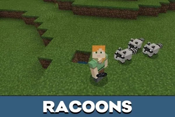 Racoons from Hamster Mod for Minecraft PE