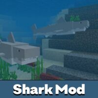 Shark Mod for Minecraft PE