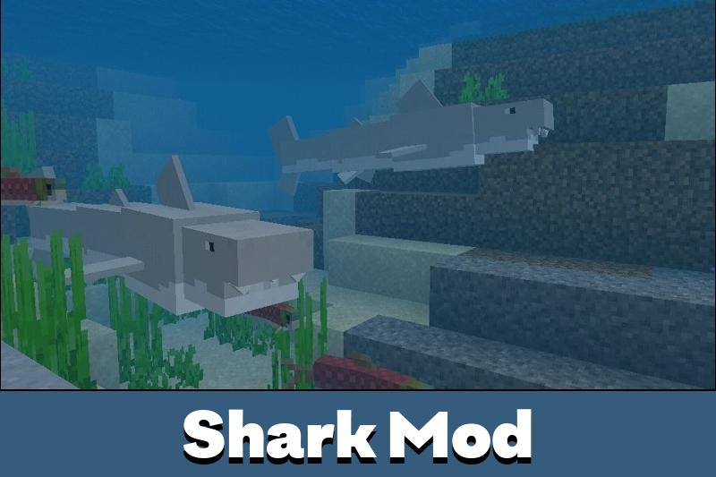 shark mod