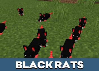 Download Rat Mod for Minecraft PE - Rat Mod for MCPE