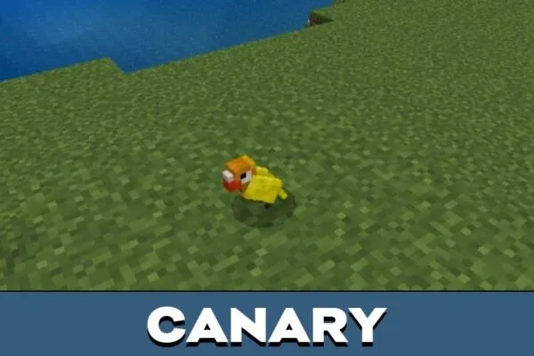 Canary from Bird Mod for Minecraft PE