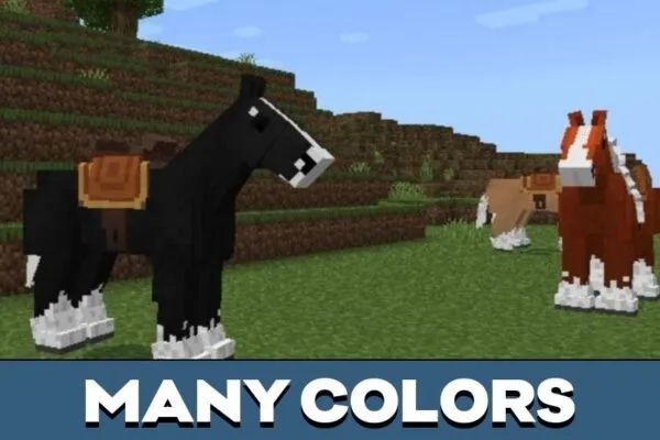 Colors from Horse Mod for Minecraft PE