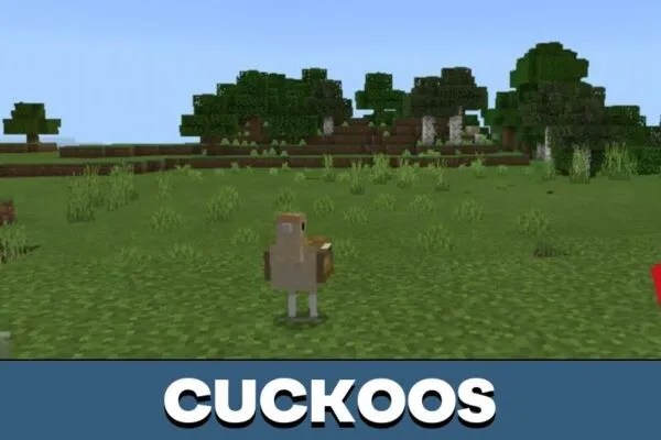 Cuckoos from Bird Mod for Minecraft PE