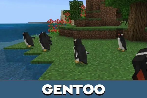 Gentoo from Penguin Mod for Minecraft PE