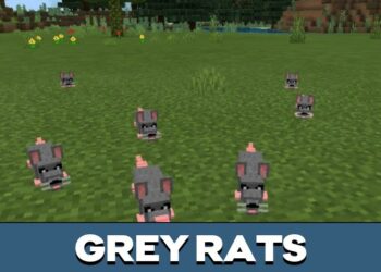 Download Rat Mod for Minecraft PE - Rat Mod for MCPE