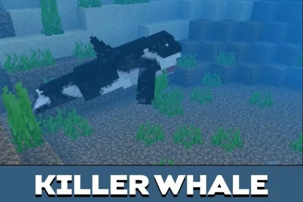 Killer from Whale Mod for Minecraft PE