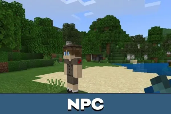 NPC from Hedgehog Mod for Minecraft PE