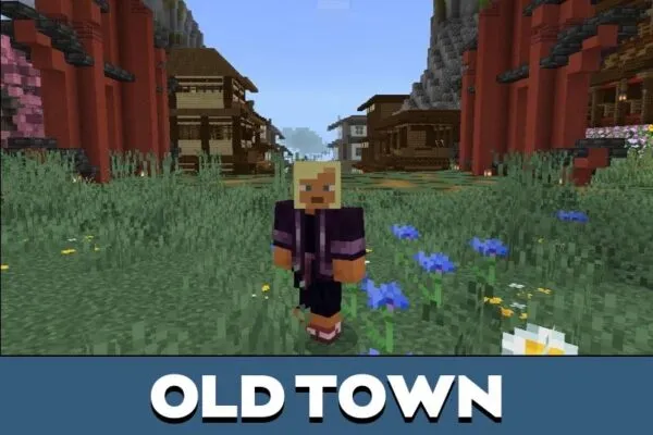 Old Town from Japanese City Map for Minecraft PE