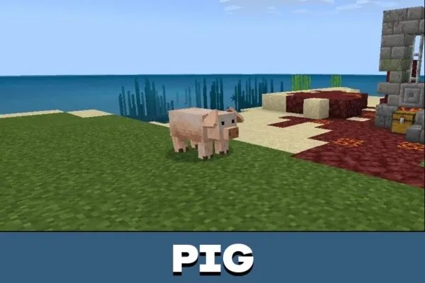 Pig from Animal Texture Pack for Minecraft PE