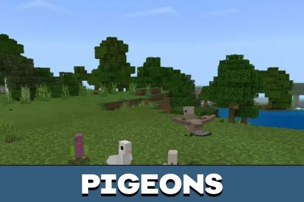 Pigeons from Bird Mod for Minecraft PE