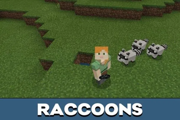 Raccoons from Frog Mod for Minecraft PE