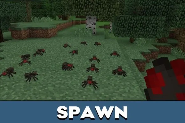 Spawn from Spider Mod for Minecraft PE