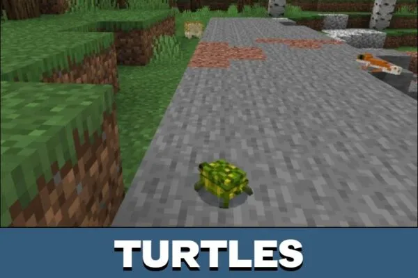 Turtles from Hedgehog Mod for Minecraft PE