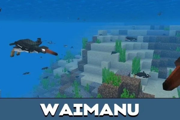 Waimanu from Penguin Mod for Minecraft PE