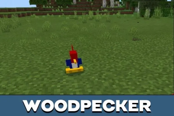 Woodpecker from Bird Mod for Minecraft PE