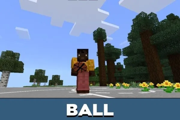 Ball from Basketball Mod for Minecraft PE