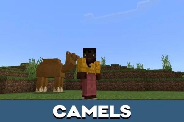 Camels from Horse Sport Mod for Minecraft PE