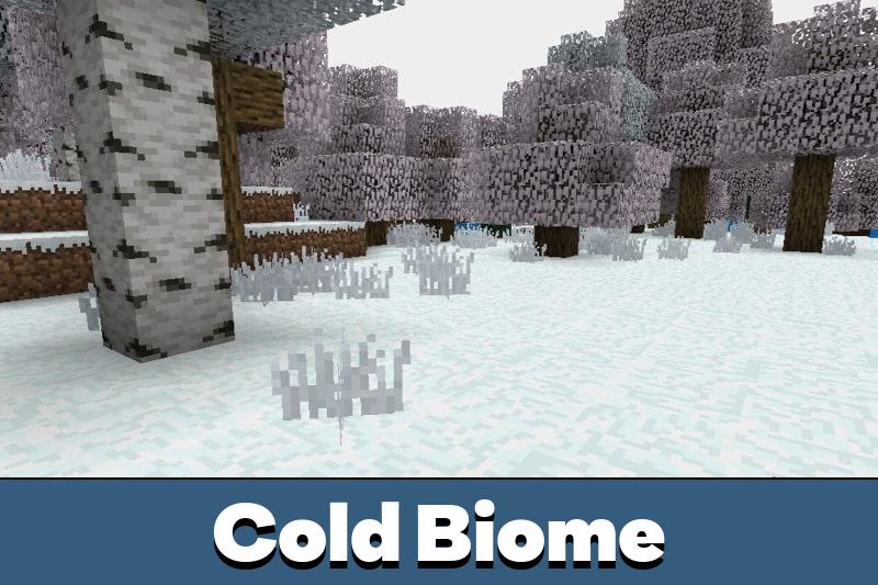 Minecraft Snow Biomes