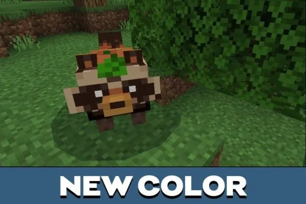 Color from Panda Texture Pack for Minecraft PE