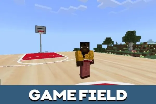 Field from Basketball Mod for Minecraft PE