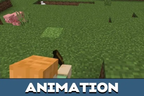 Animation from 3d Person Camera Mod for Minecraft PE