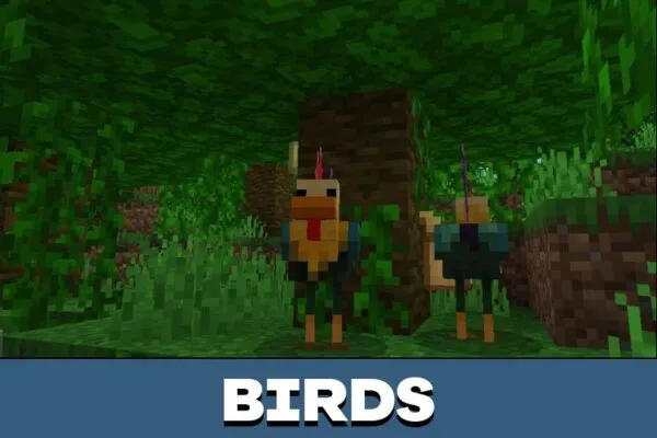 Birds from Earth Mod for Minecraft PE