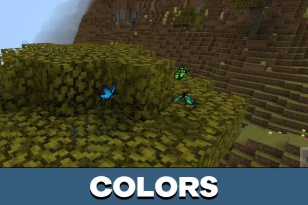 Colors from Bat Texture for Minecraft PE