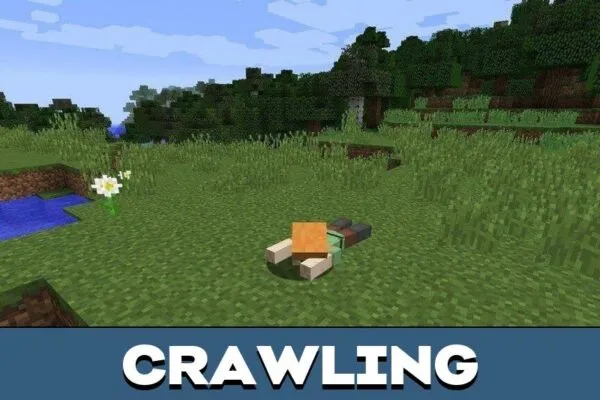 Crawling from Minecraft PE 1.20