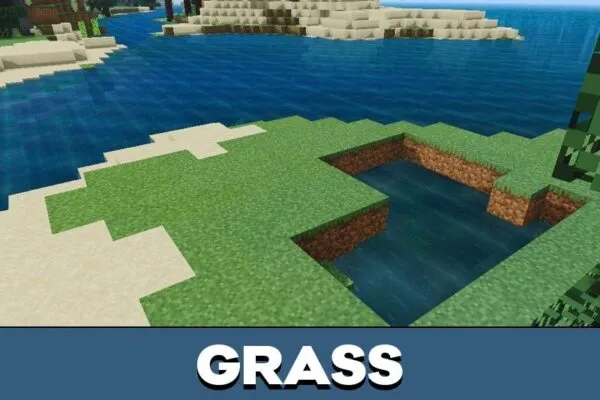 Grass from Hero Shader for Minecraft PE