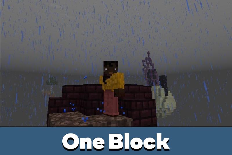 Download One Block Map For Minecraft PE 1 Block Map For MCPE   One Block Map 