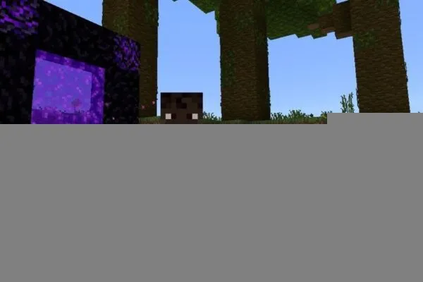 Portal from One Block Map for Minecraft PE