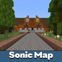 Sonic Map for Minecraft PE
