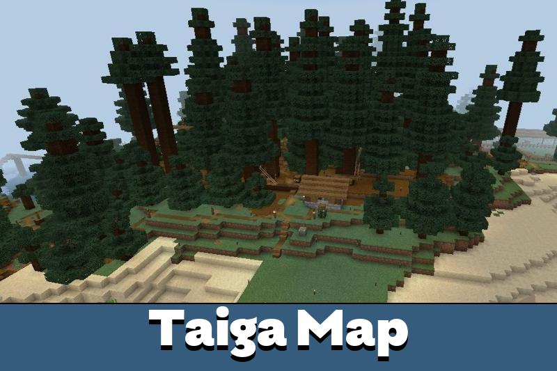 How rare is taiga biome in Minecraft 1.19?