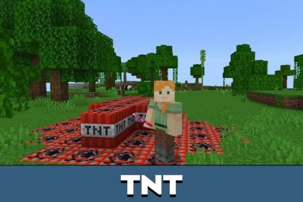 TNT from The Floor is Lava Mod for Minecraft PE