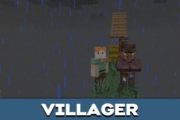 Village from 2D Map for Minecraft PE