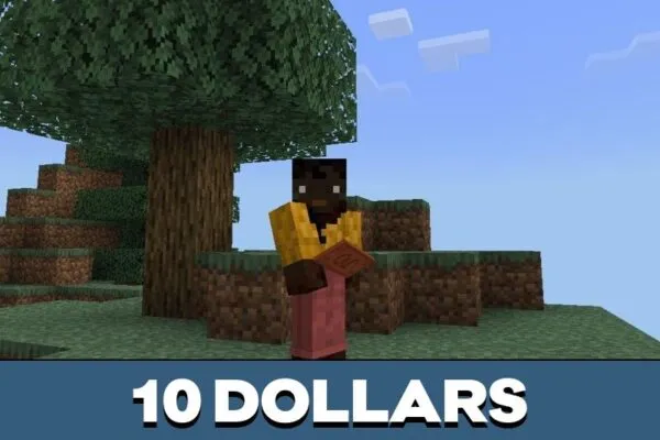 10 Dollars from Coins Mod for Minecraft PE