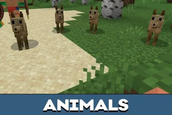 Animals from Mexico Mod for Minecraft PE