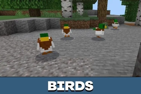 Birds from Duck Mod for Minecraft PE