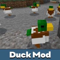 Duck Mod for Minecraft PE