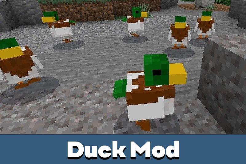 Download Duck Mod for Minecraft PE - Duck Mod for MCPE