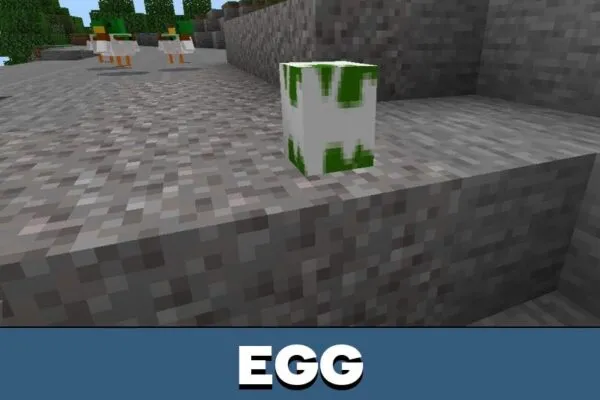 Egg from Duck Mod for Minecraft PE