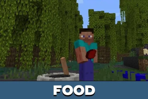 Food from Sleeping Bag Mod for Minecraft PE