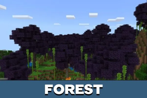 Forest from Swamp Mod for Minecraft PE