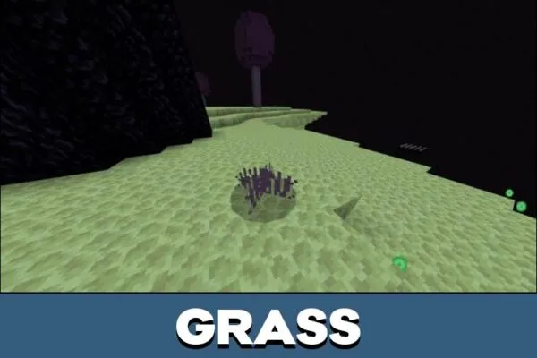 Grass from Ender World Mod for Minecraft PE