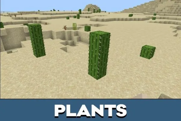 Plants from Desert Mod for Minecraft PE