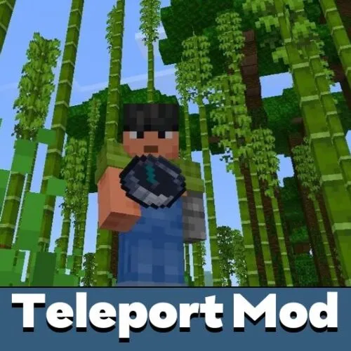 Teleport Mod for Minecraft PE