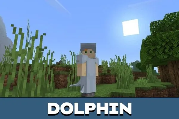 Dolphin from Costumes Mod for Minecraft PE