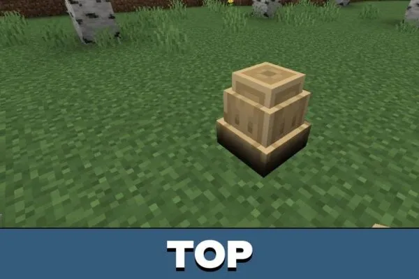 Top from Waystone Mod for Minecraft PE