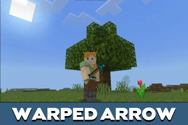 Warped Items from Arrows Mod for Minecraft PE